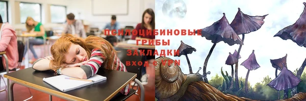 гашиш Богданович